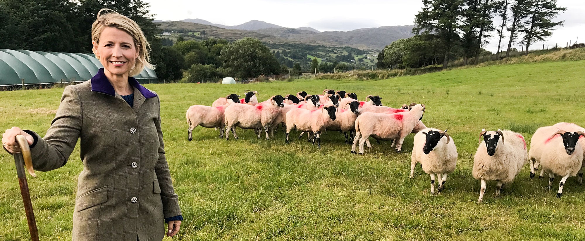 Samantha Brown's Places to Love - Donegal, Ireland - sheep