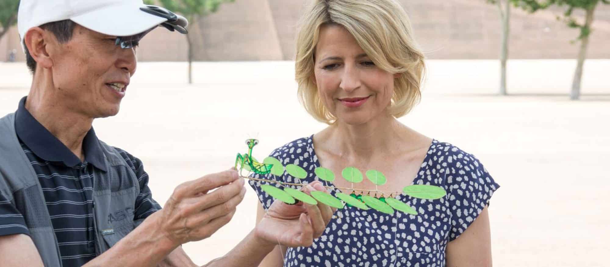 kite flying - xian china - places to love